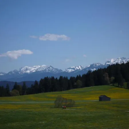 Uhlemayr Apartment Seeg