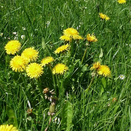 Uhlemayr * Seeg