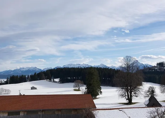 Uhlemayr *
